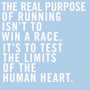 Meet your Posher, Annie