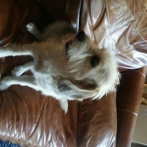 Meet your Posher, Jeff