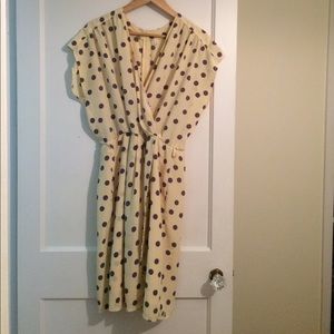 Vintage Polka Dog Dress