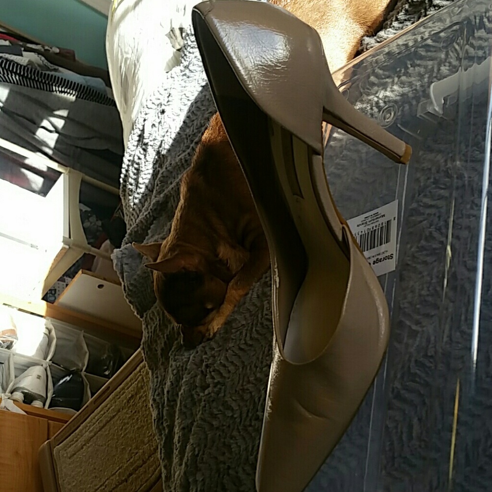 Heels - Picture 2 of 4