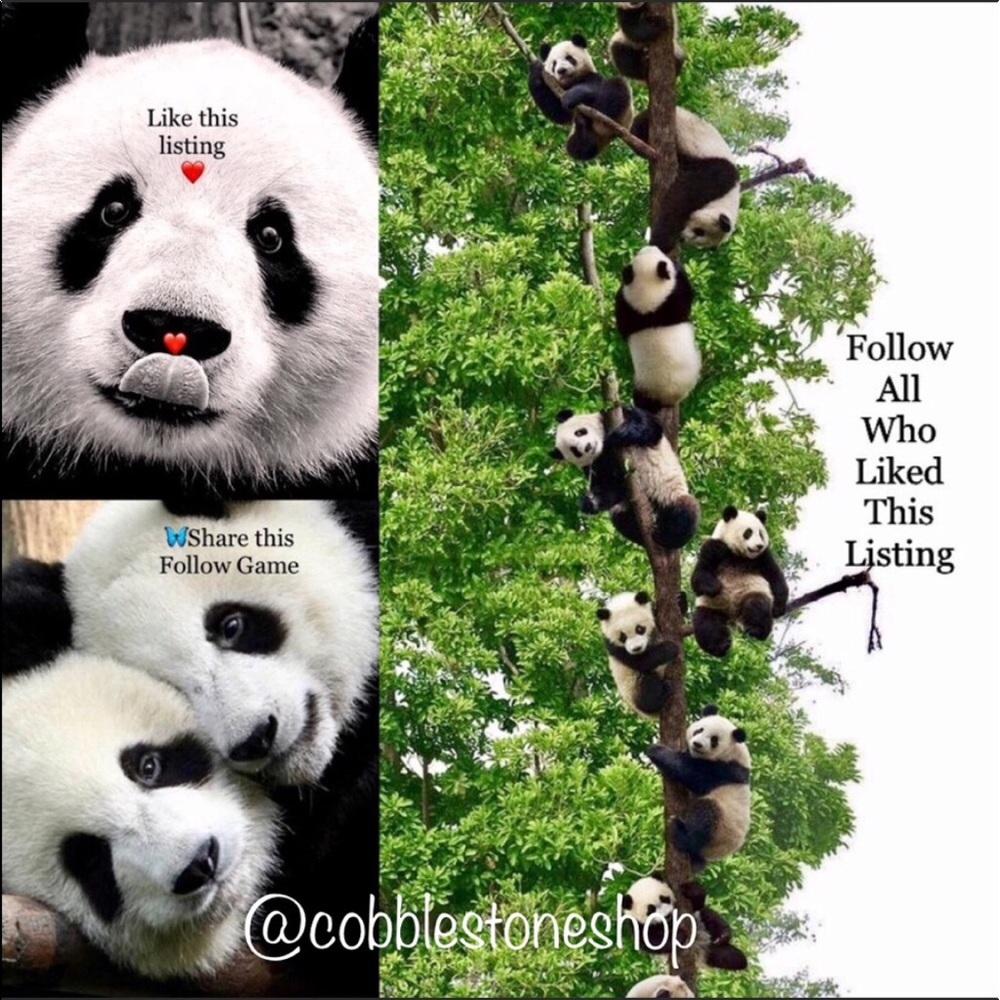 Follow Game #1 🦋Lets Help Eachother Grow FOLLOW - Picture 3 of 6