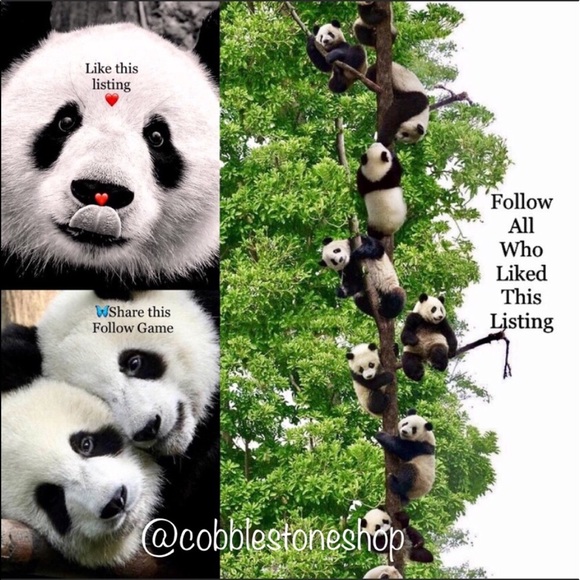 Follow Game #1 🦋Lets Help Eachother Grow FOLLOW - Picture 3 of 6