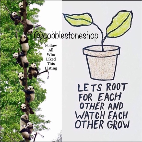 Follow Game #1 🦋Lets Help Eachother Grow FOLLOW - Picture 4 of 6