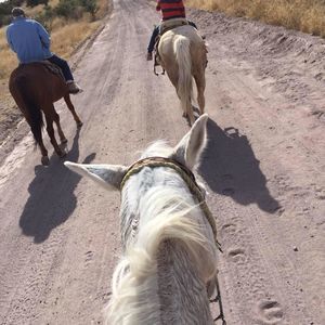 Meet your Posher, Esteban