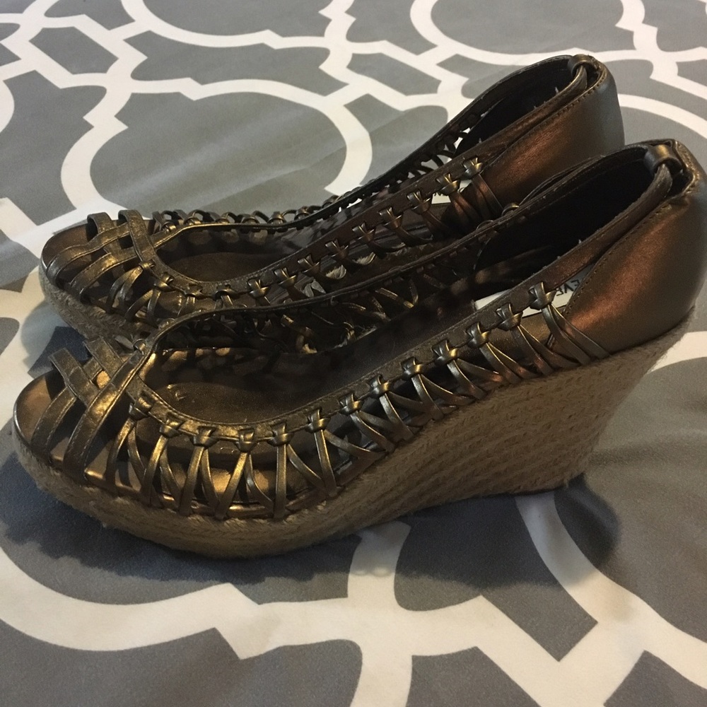 Steve Madden Erica Platform Wedge Strappy