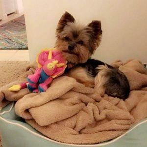 Meet your Posher, Lisa