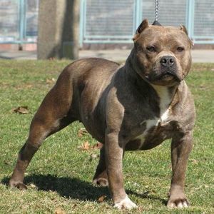 Meet your Posher, Jeanine