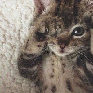 Meet your Posher, Krystal