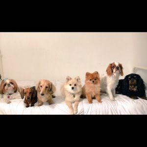 Meet your Posher, Hali