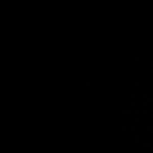 Meet your Posher, Damian