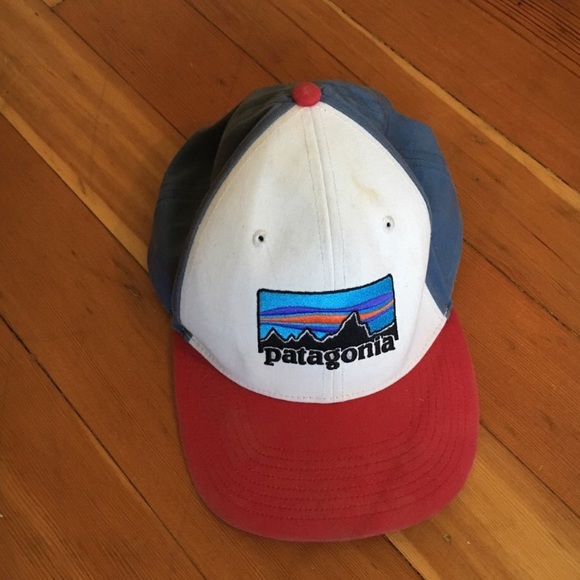 Patagonia Other - Patagonia Strap back