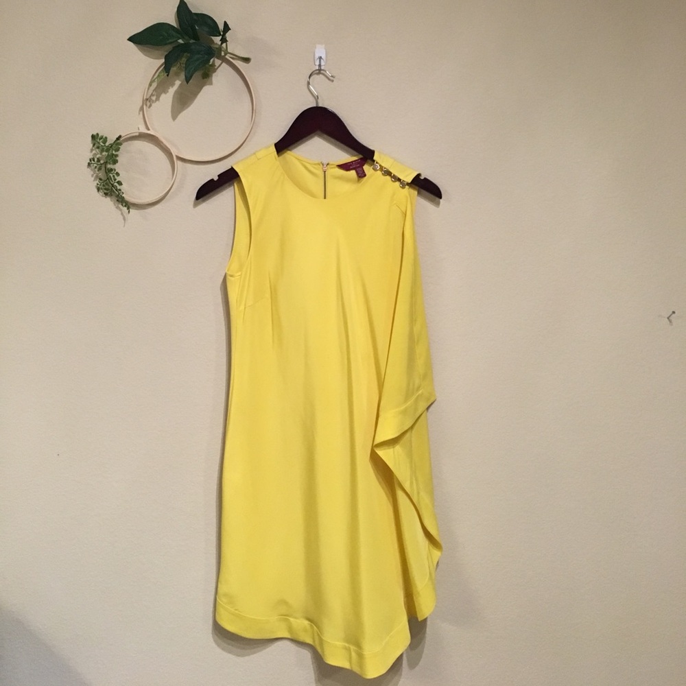 Ted Baker Dress