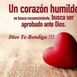 Meet your Posher, Irma