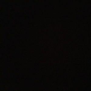 Meet your Posher, Jazmin