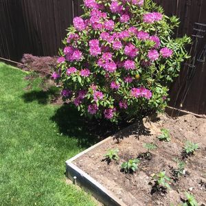 Meet your Posher, Evol