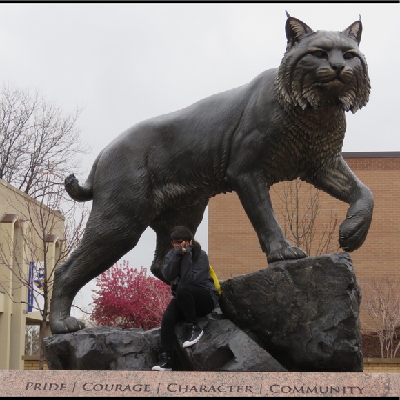 Meet Your Posher - Picture 4 of 4