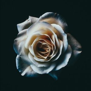 Meet your Posher, Xavier