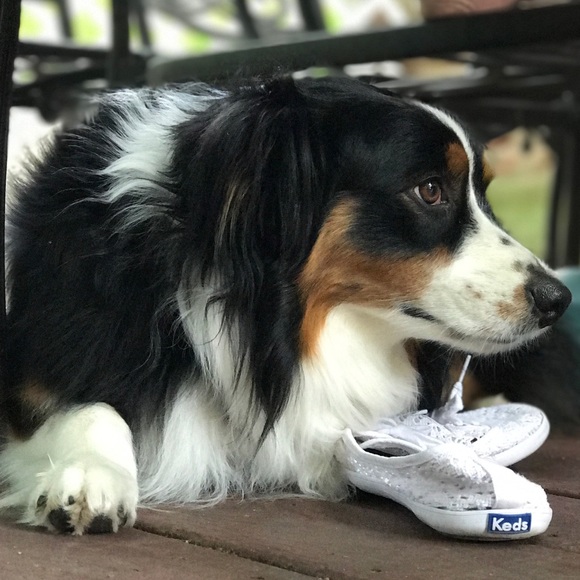 Meet your Posher, Regina - Picture 3 of 3