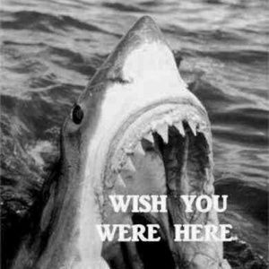 Meet your Posher, Carli