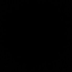 Meet your Posher, Will