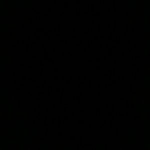 Meet your Posher, Sebastian