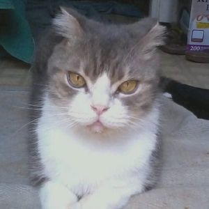 Meet your Posher, Debra