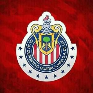 Meet your Posher, Jose