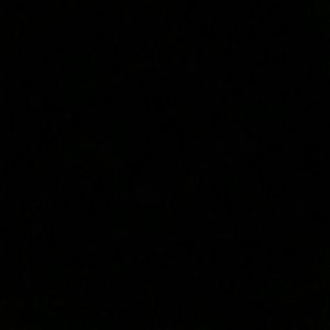 Meet your Posher, Zack