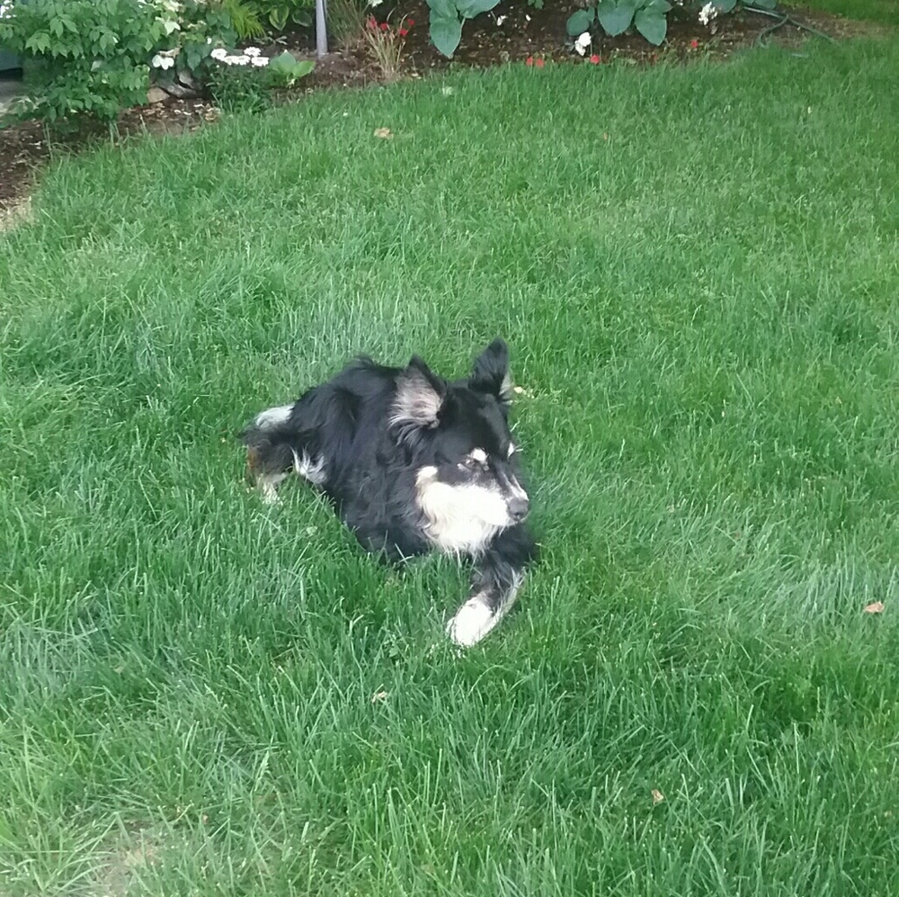 Meet your Posher, Angela