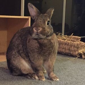 Meet your Posher, Julia