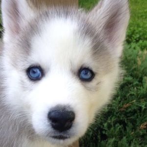 Meet your Posher, Ruth