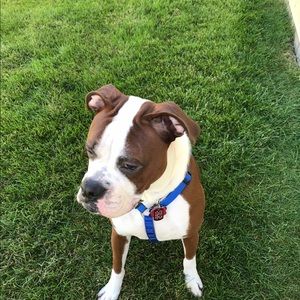 Meet your Posher, Debbie