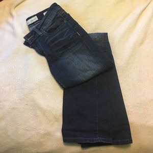 BKE Denim Scarlett Jeans