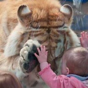 Meet your Posher, Leanne