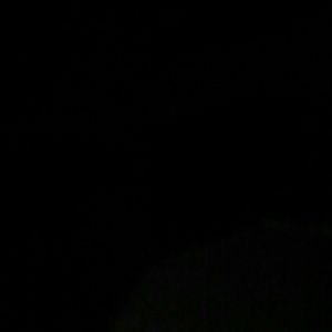 Meet your Posher, Terry