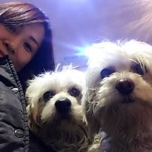 Meet your Posher, Ada