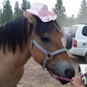 Meet your Posher, Sharon