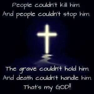 Meet your Posher, Dolores