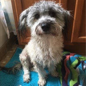 Meet your Posher, Ahna