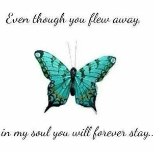 Meet your Posher, Theresa