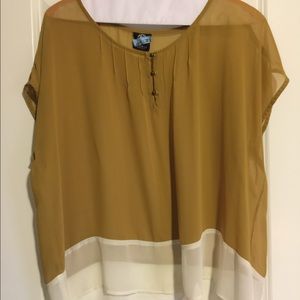 Sheer top