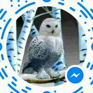 Meet your Posher, Joyce