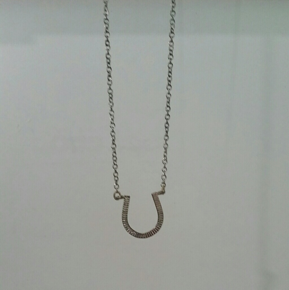 Horseshoe necklace