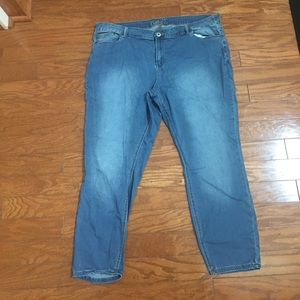 Plus Size Mid Rise Skinny Jean