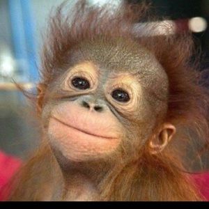 Meet your Posher, Adam