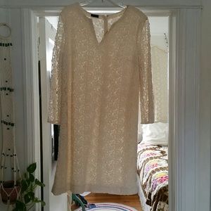 Talbots cream lace dress