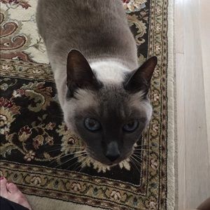 Meet your Posher, Faith