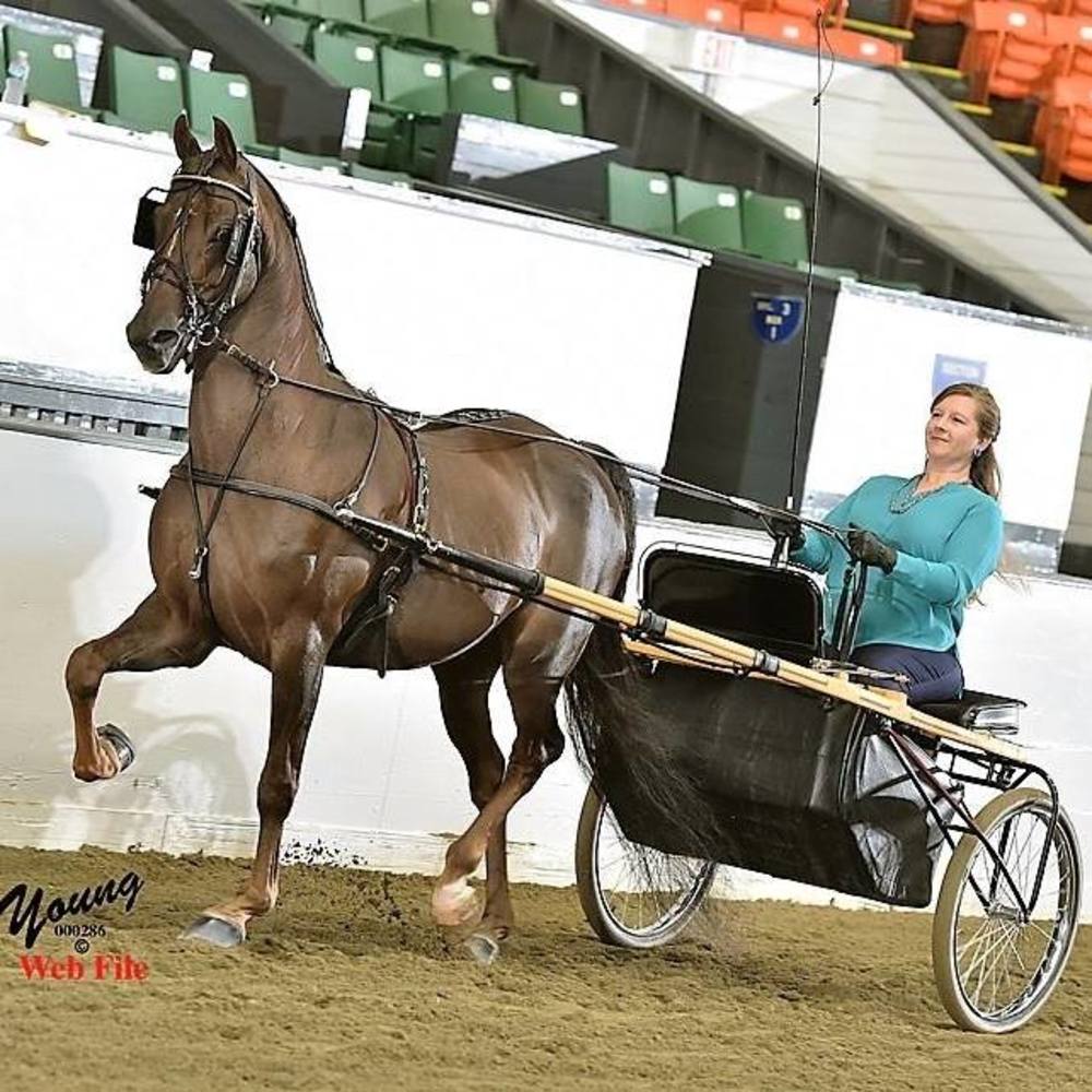 Meet your Posher, Jennifer