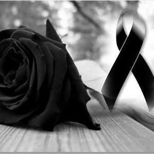 Meet your Posher, Elaine e