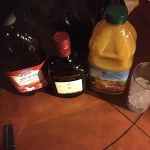 Meet your Posher, Gilbert